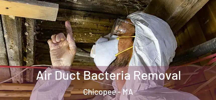 Air Duct Bacteria Removal Chicopee - MA