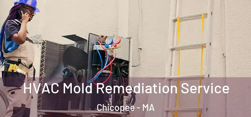  HVAC Mold Remediation Service Chicopee - MA