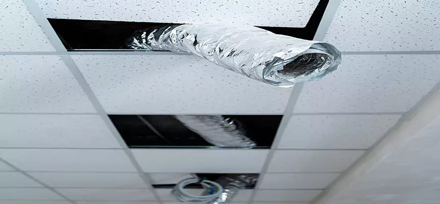 Our Air Duct Pet Hair Removal Services in Chicopee, MA