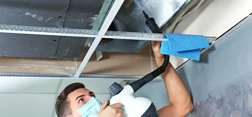 Our Air Duct Rodent Removal Services in Chicopee, MA