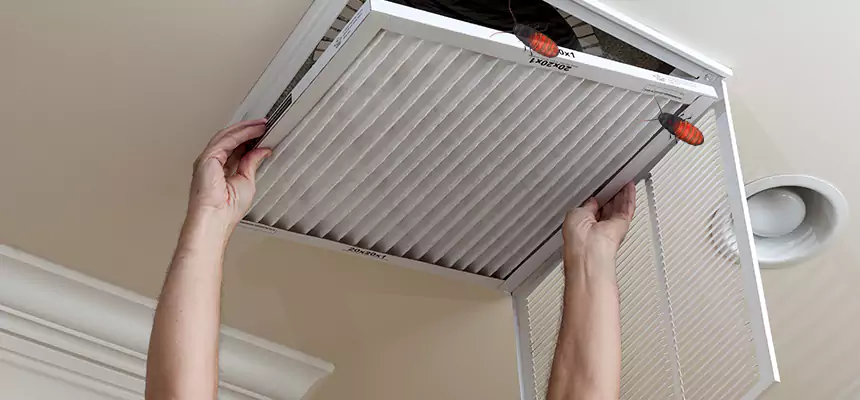 Our Insect Removal from Air Ducts Services in Chicopee, MA