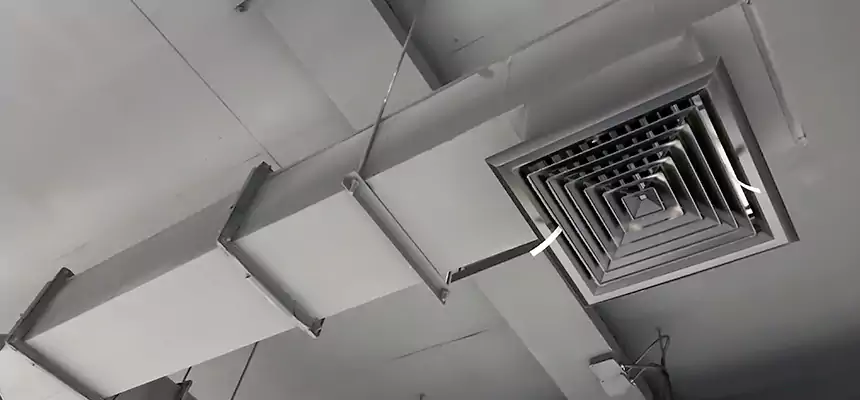 Our Rodent Droppings In Vents Services in Chicopee, MA