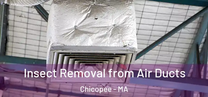  Insect Removal from Air Ducts Chicopee - MA