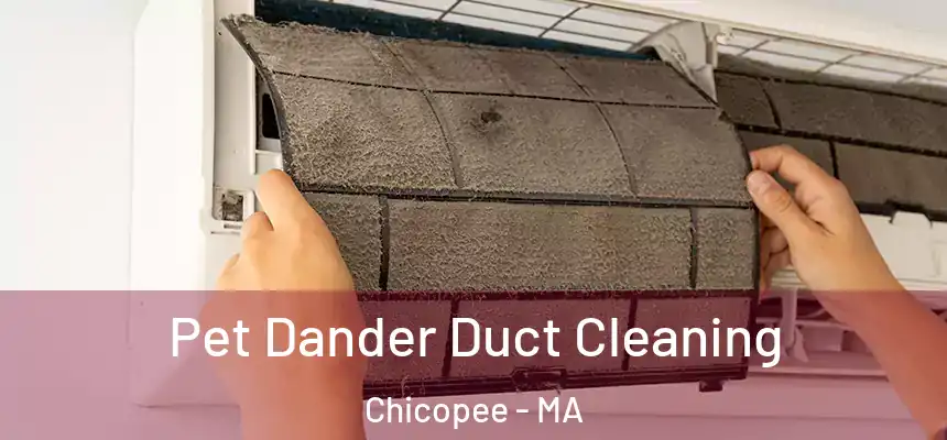 Pet Dander Duct Cleaning Chicopee - MA