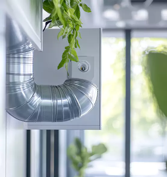 Professional Eco-Safe Dryer Vent Cleaning in Chicopee, MA