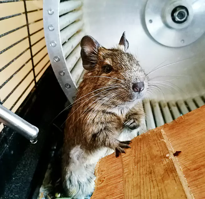 Why Homeowners & Businesses Trust Us Chicopee, MA