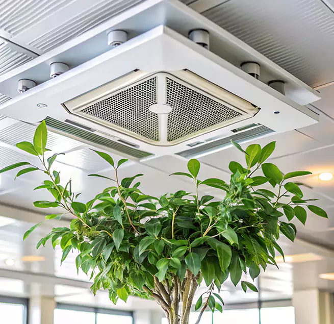 Why Homeowners & Businesses Trust Us in Chicopee, MA