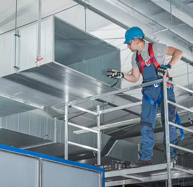 Why Homeowners Businesses Trust Us in Chicopee, MA