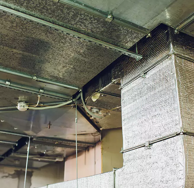 Why Homeowners & Businesses Trust Us in Chicopee, MA?